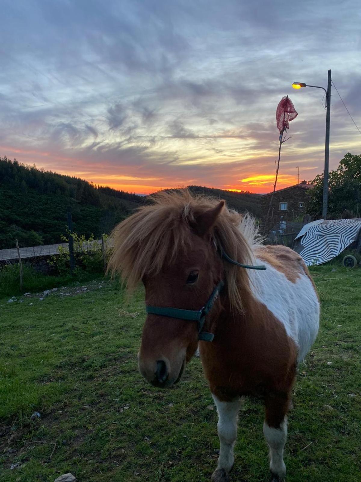 Casinha Por Do Sol Villa Aldeia das Dez Eksteriør bilde